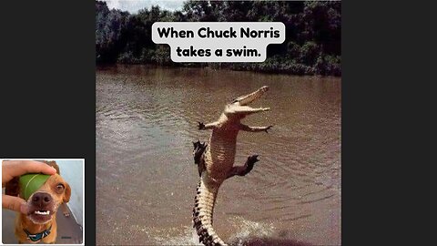 Memes That Will 99.999% Make You Laugh. (e224)