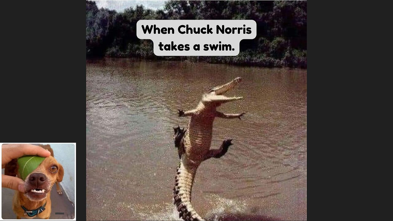 Memes That Will 99.999% Make You Laugh. (e224)