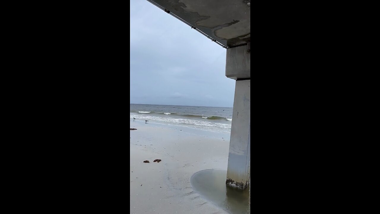 Livestream Clip 3 - Hurricane Ian Arrives On Fort Myers Beach, FL!