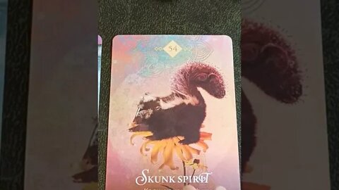 Tuesday 13th September #tarot #cardoftheday #psychic #animalspirit