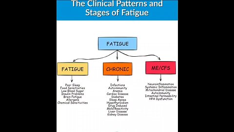 The Clinical Patterns and Stages of FATIGUE