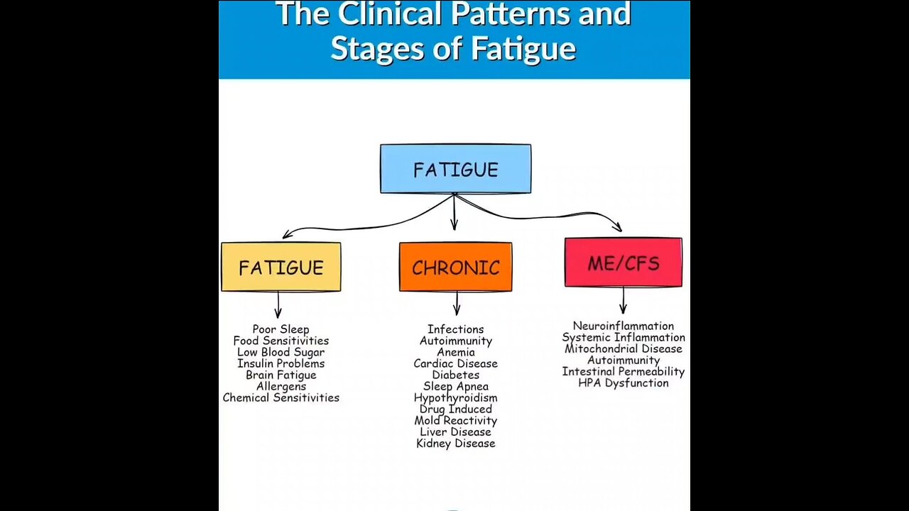 The Clinical Patterns and Stages of FATIGUE