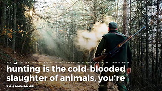 The Truth About Hunting