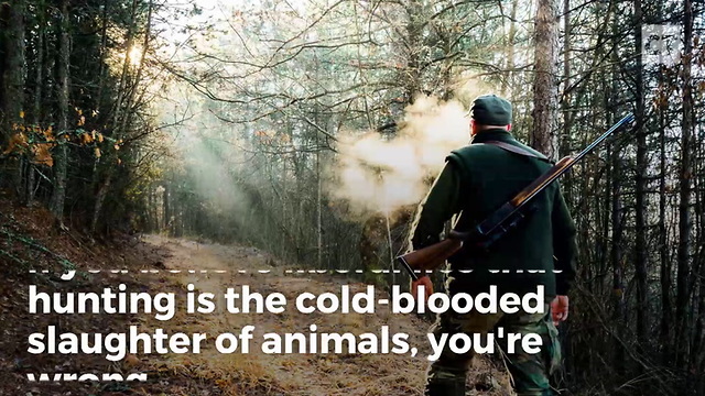 The Truth About Hunting