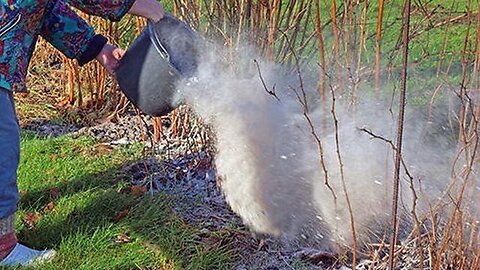 WHY YOU SHOULD HAVE CHARCOAL AROUND YOUR PROPERTY?