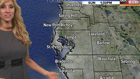 Action Weather Forecast