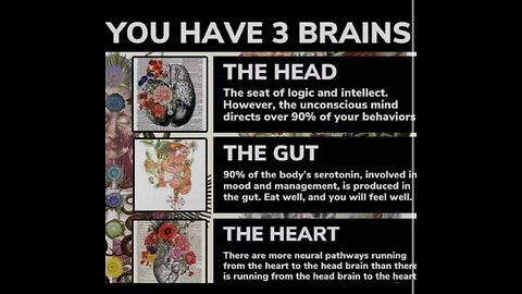 Don't listen to this bullshit