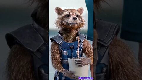 Rocket and Groot have been best friends since they met each other on Halfworld