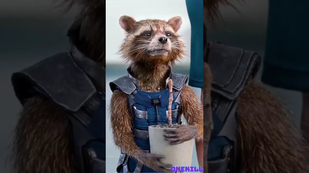 Rocket and Groot have been best friends since they met each other on Halfworld