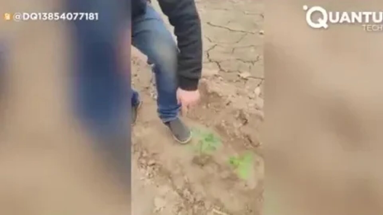 See New Agriculture Technology (2)