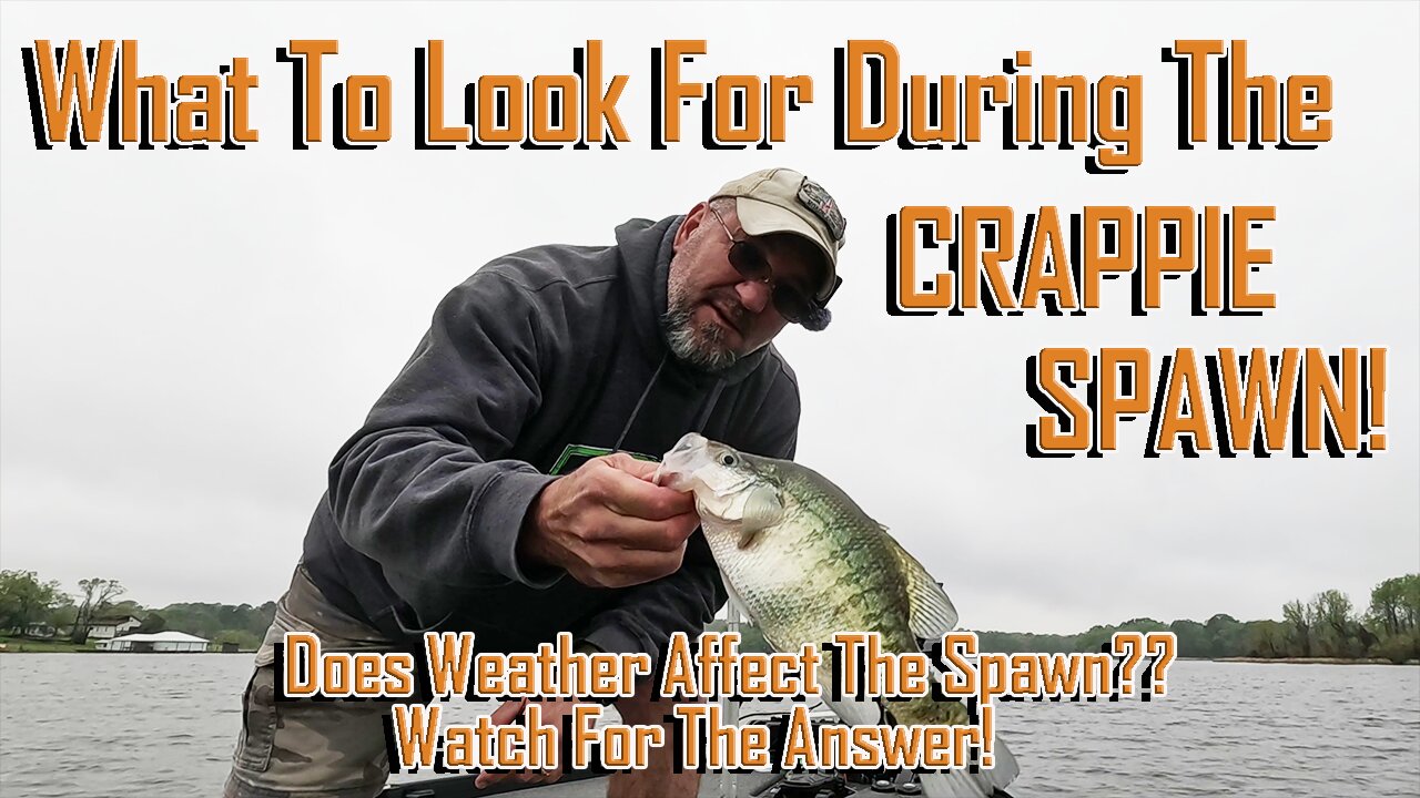 WHAT TO LOOK FOR DURING THE SPAWN, Does The Weather Affect It?, Ep 1724