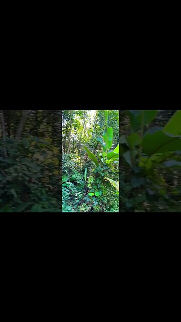 Hidden track from Big Buddha, Chalong to Karon Beach!