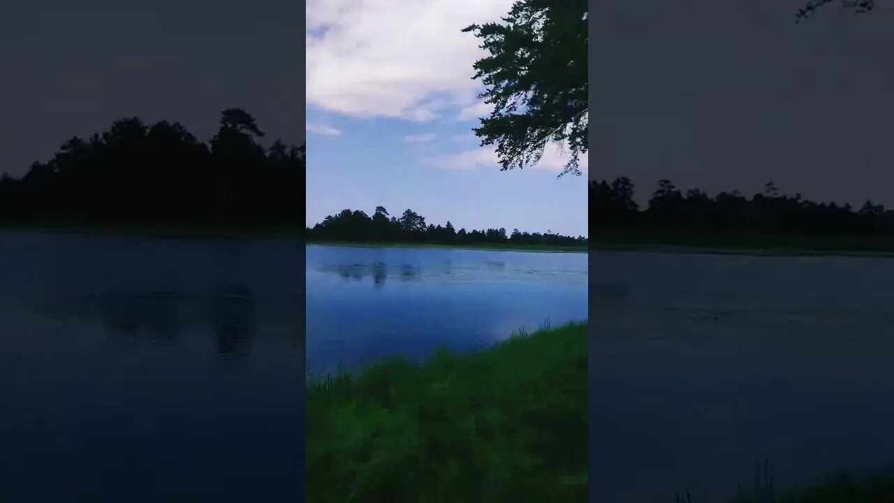 Seney National Wildlife Refuge #tiktok #shortsvideo #puremichigan #northernmichigan #USA #4thofjuly