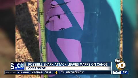 Shark bites woman's canoe in Oceanside