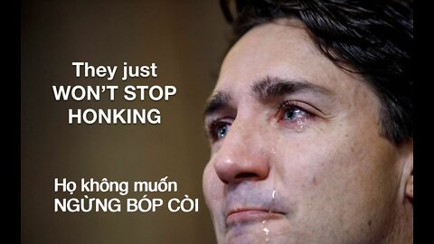 🔥THẾ GIỚI SINH ĐỘNG🔥 08-02-2022 (p2) BIỂU TÌNH PHẢN ĐỐI CƯỠNG CHẾ VX & HỘ CHIẾU Y TẾ