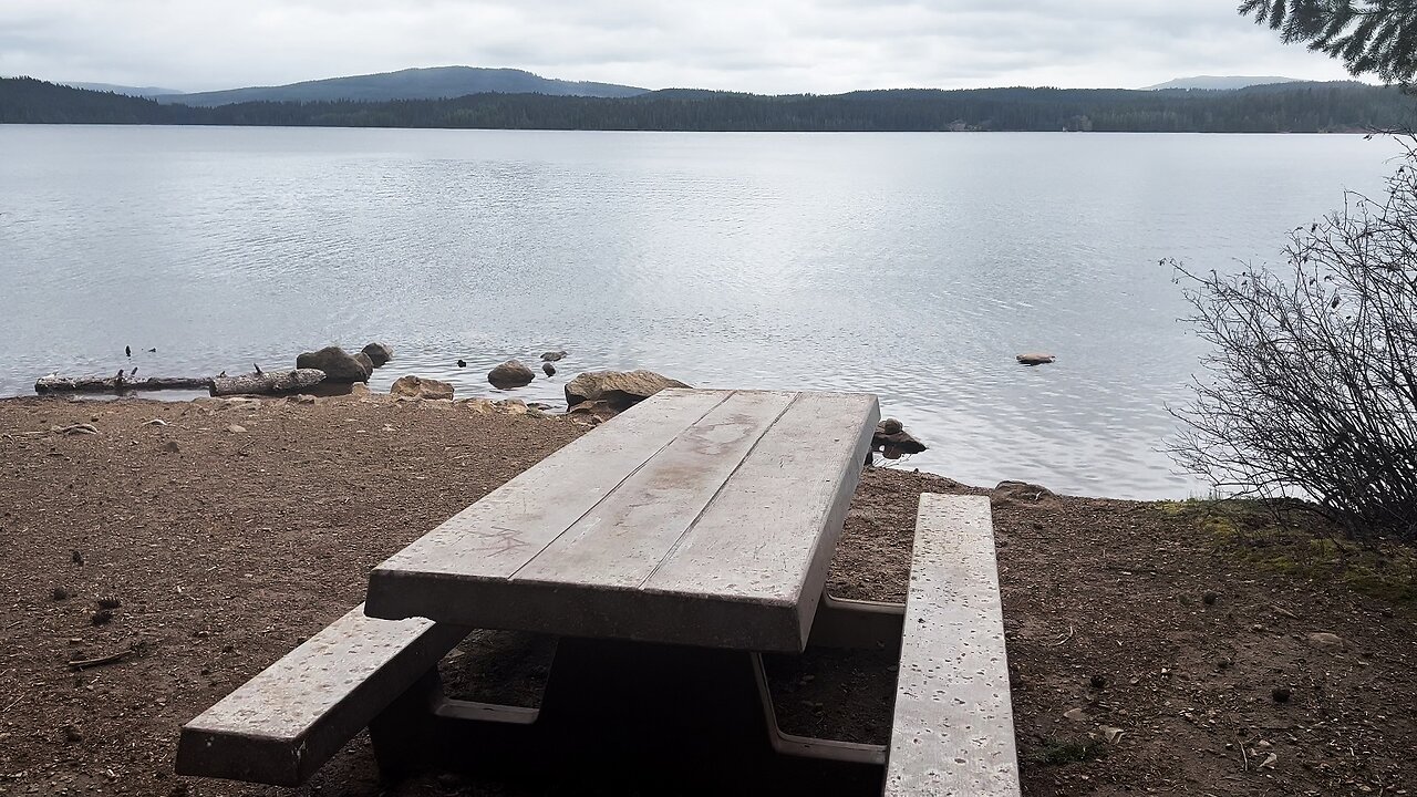 Shoreline Hiking to Pine Point Day Use Area @ Timothy Lake! | 4K Mount Hood National Forest Oregon