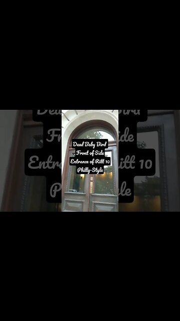 Dead Baby Bird. side entrance Rittenhouse 10 by Barnes and Noble