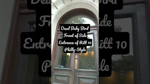 Dead Baby Bird. side entrance Rittenhouse 10 by Barnes and Noble