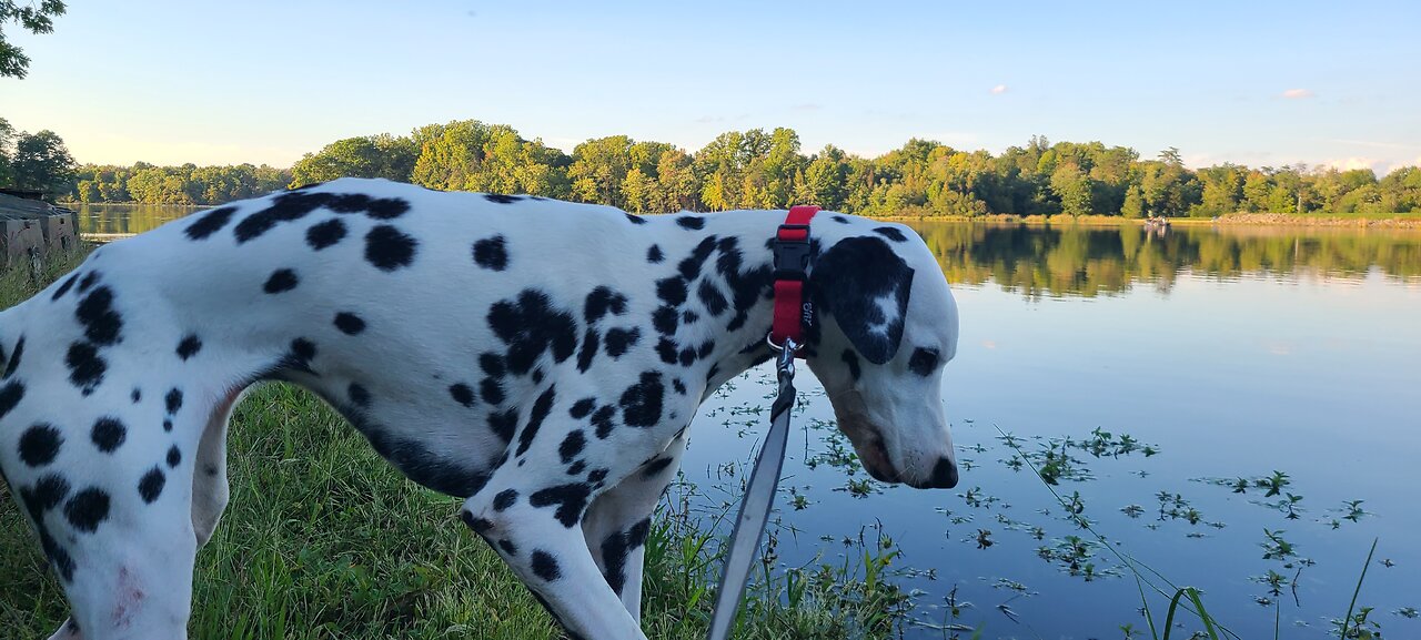 Luna Visits Lake Brittle VA