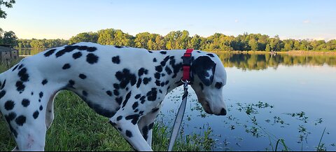 Luna Visits Lake Brittle VA