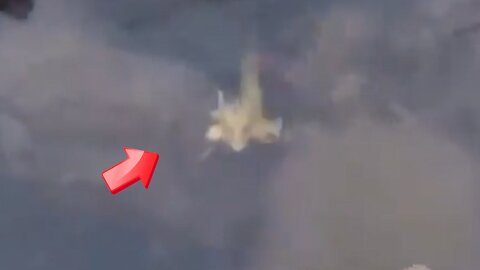 creature shaped like a dragon [Mysterious]