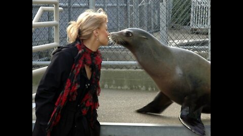 The love of a sea lion and a man