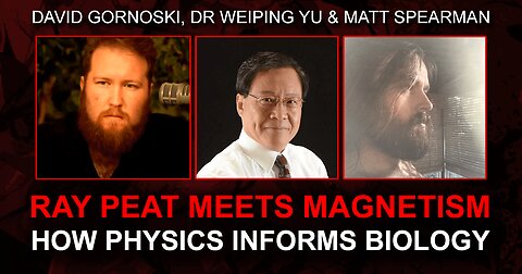 Ray Peat Meets Magnetism: How Physics Informs Biology with Dr. Yu and Matt Spearman