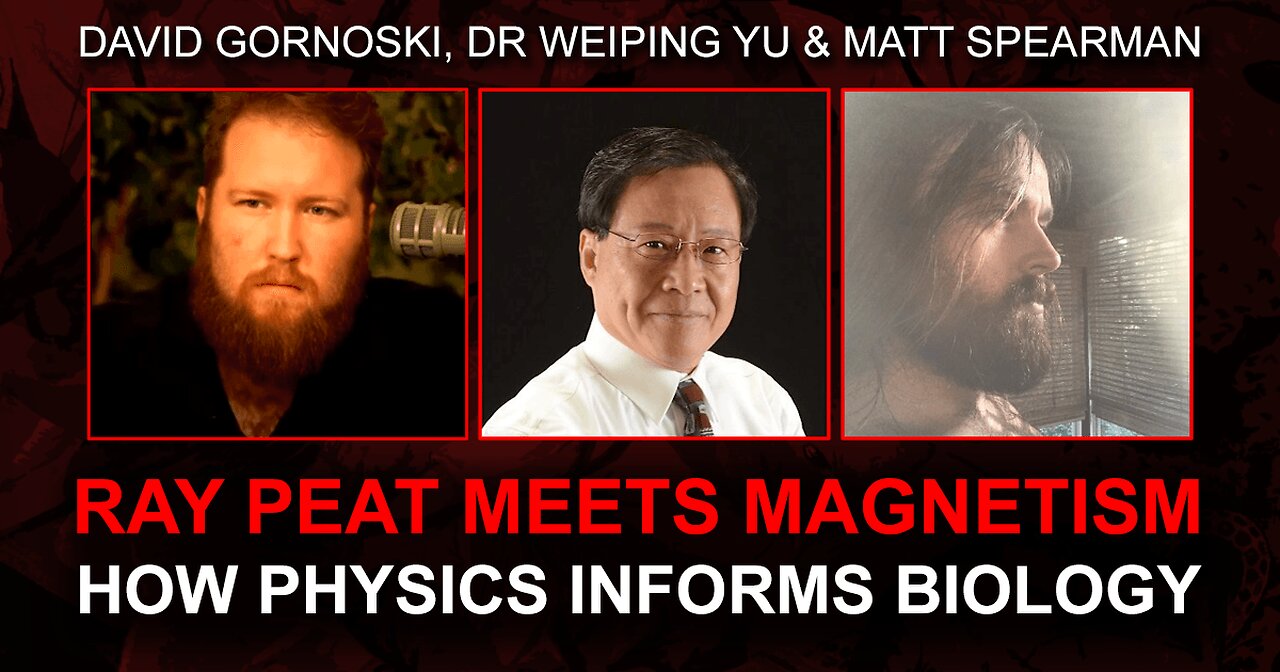 Ray Peat Meets Magnetism: How Physics Informs Biology with Dr. Yu and Matt Spearman