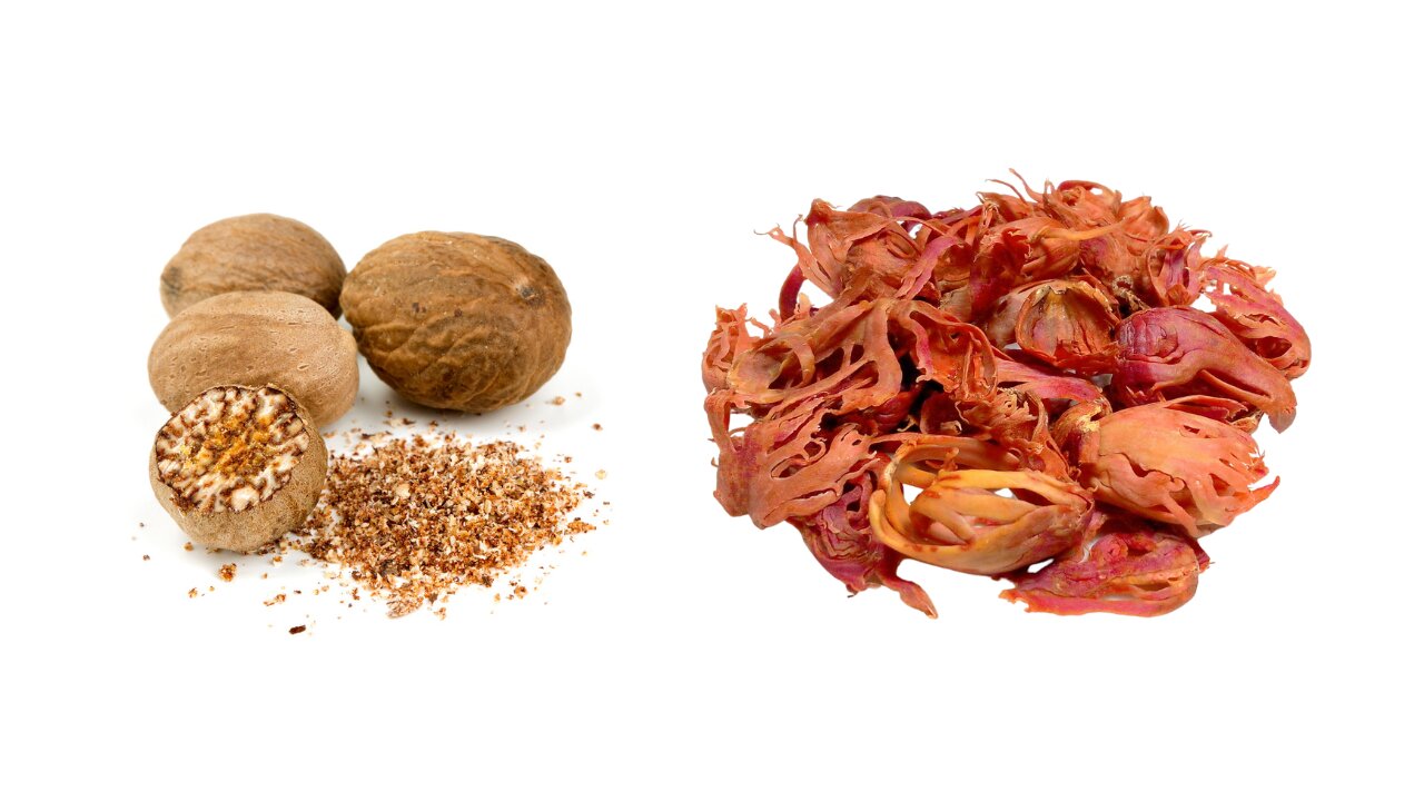 What is Nutmeg and Mace? | Spice Factor #nutmeg #mace