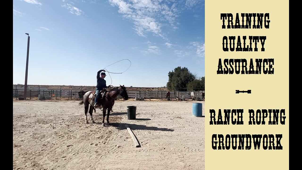 Training Quality Assurance Ranch Roping Groundwork