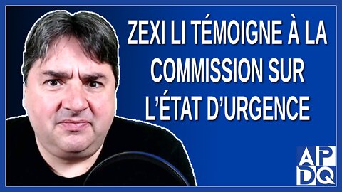 Zexi Li témoigne à la commission sur l'état d'urgence