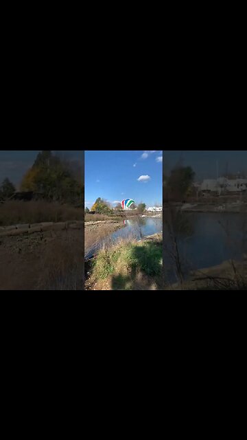 Dorchester mass. Boston #shorts