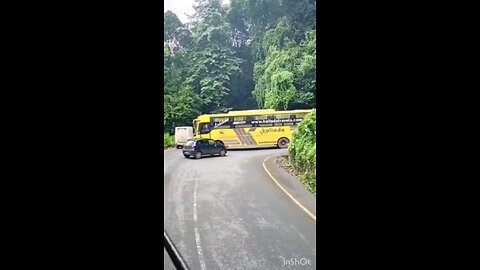 Long buss terning