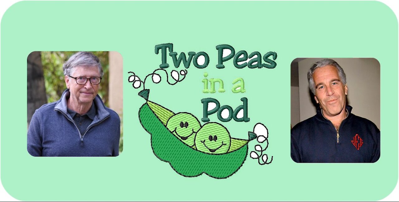 Bill Gates and Jeffery Epstein: Two Peas in a Pod - May 18, 2021