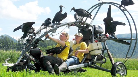 Microlight Flies With Rare Birds