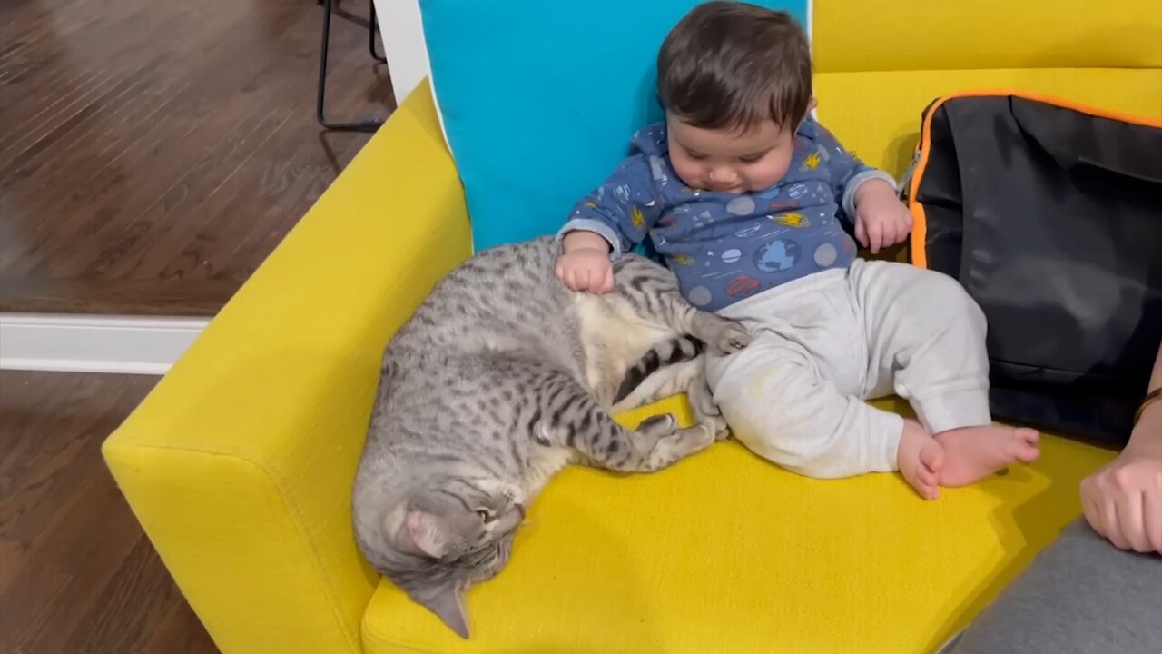 The child is playing very nicely with the cat