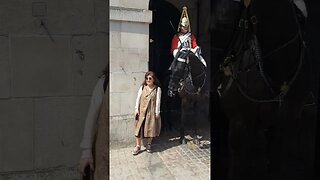 Kings guards horse not in a good mood lol #horseguardsparade