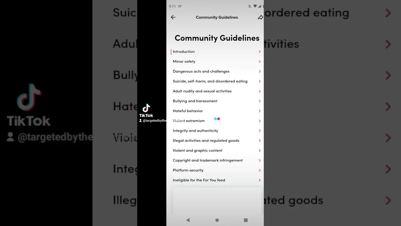 More bogus false #gangstalking TikTok video reports