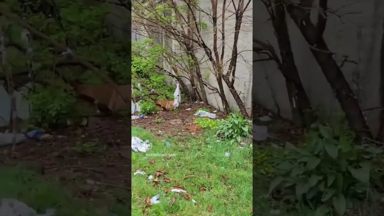 Fishing for Surprises in the Hood! 🎣