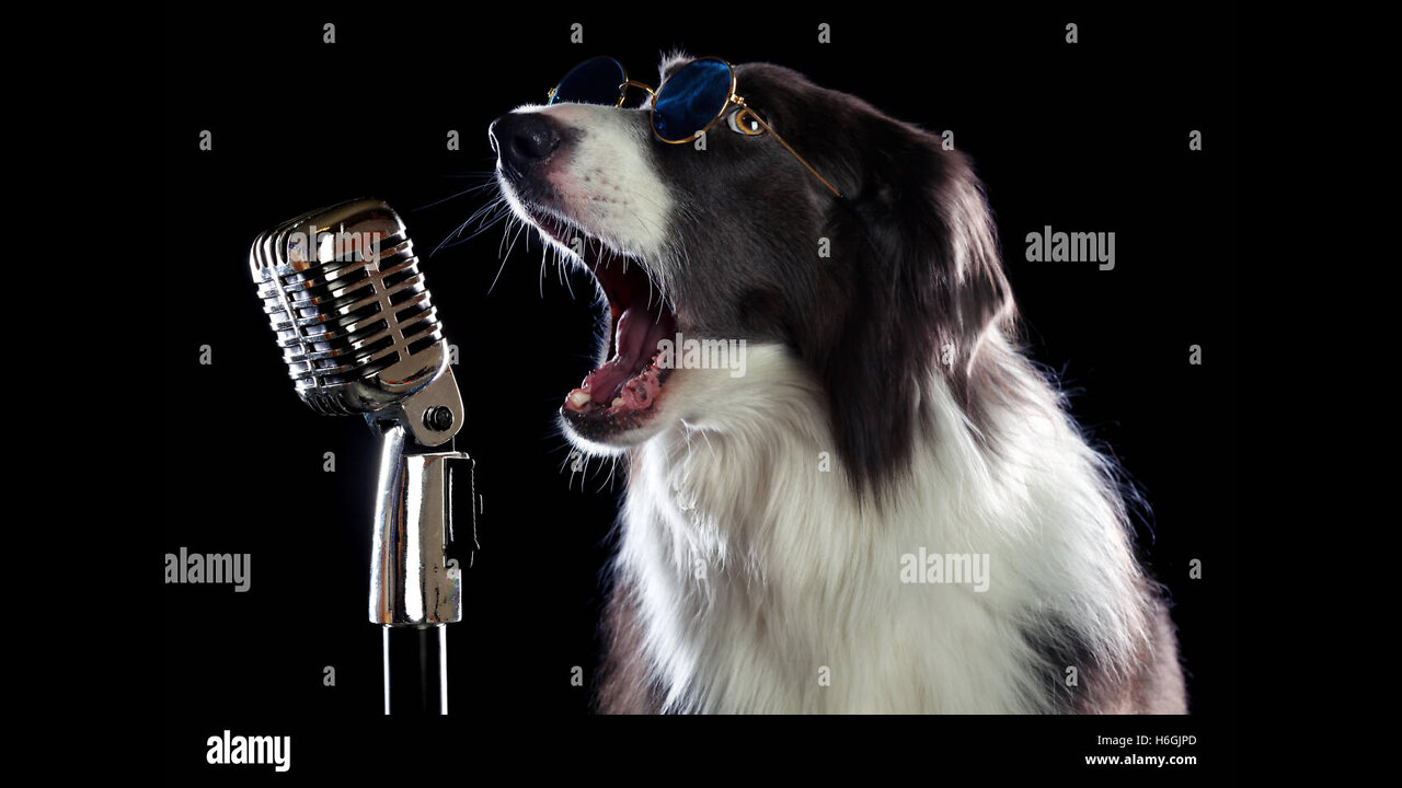 A DOG SING A SONG IN OUR LANGUAGE