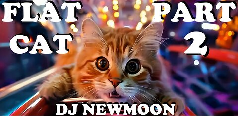 DJ Newmoon - Flat Cat [Part 2] (Music Video)