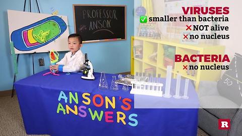 This 5-year-old genius can help explain those pesky bugs that cause illnesses | Anson's Answers