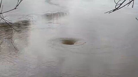 Wow this is amazing video guys