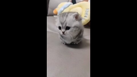 cute