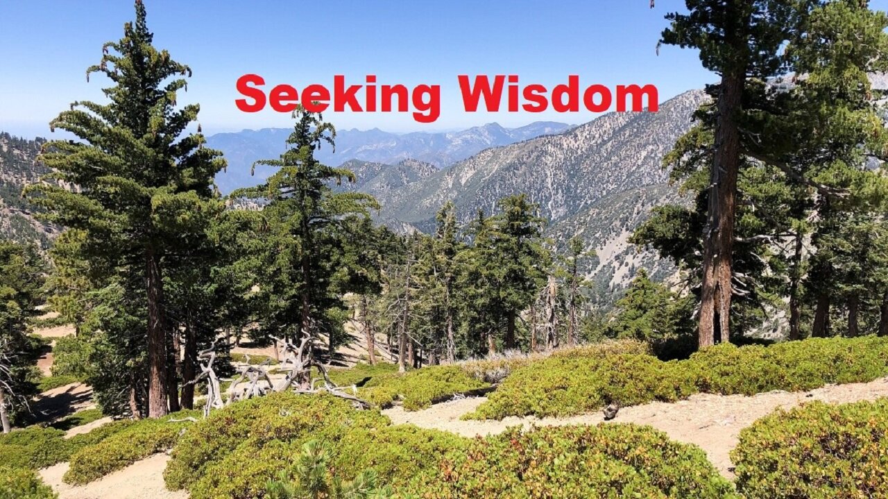 Through the Bible: Proverbs 25 For August 25