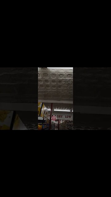 Sometimes You Gotta Look Up #narrowwayhomestead #willowsprings