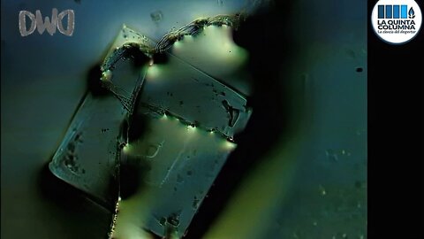 STUNNING New Photos - INSIDE THE "Covid-19 Vaccine"