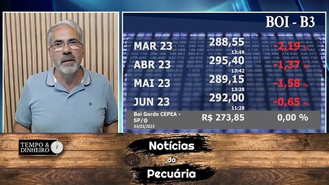 Boi começa a semana mostrando disposição para subir