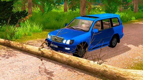 Lexus vs Fallen Tree – BeamNG Drive