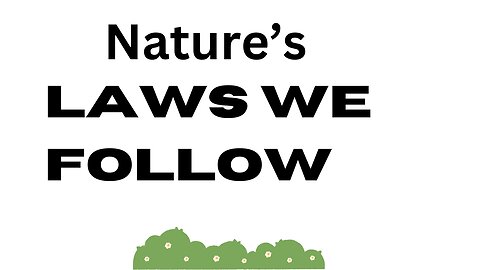 Ways We honor Nature's Laws Now